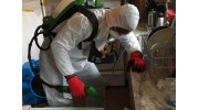 Home Disinfection