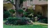 Landscaping Service