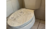 Toilet Services