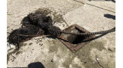 Drain Cleaning