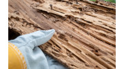 Termite Treatments