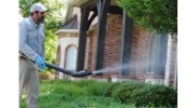Mosquito Control