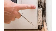 Air Quality (Mold and Allergens) Testing