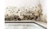 Mold Damage Restoration