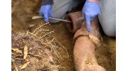 Sewer Drain Line Services