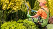 Landscape Maintenance