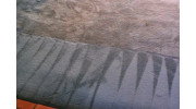 Professional Carpet Cleaning in South Florida