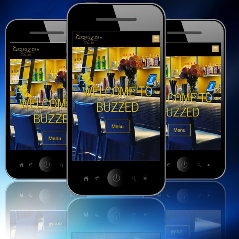 Web Design for Bar and Salon