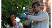 Tree & Shrub Care