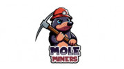 Mole Miners of Evansville