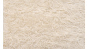 Area Rug Cleaning