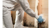 Mold Removal & Remediation