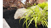 Landscape Bed Weed Control