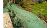 Hydroseeding