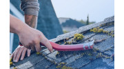 Roof Cleaning