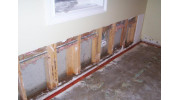 Mold Damage Restoration