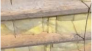 Mold Remediation & Removal