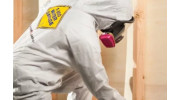 Mold Restoration