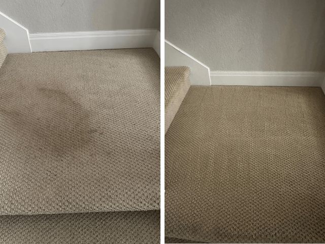 Before and After Carpet Cleaning Results