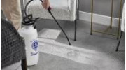 Pet Urine Odor Removal