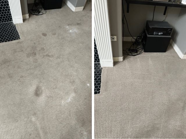 Before and After Carpet Cleaning Results