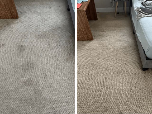 Before and After Carpet Cleaning Results