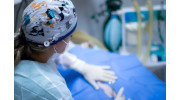 Pet Surgery