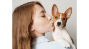 Pet Wellness