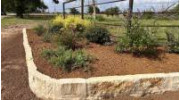 Seasonal Cleanups & Flowerbeds