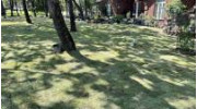 Residential Landscaping