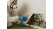 Mold Remediation