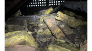 Insulation Removal