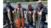 Walleye Fishing Guide