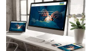 Website Optimization