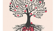 Family & Couples Therapy