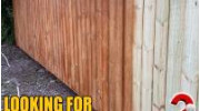 Fence Staining & Maintenance