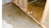 Sewage Cleanup