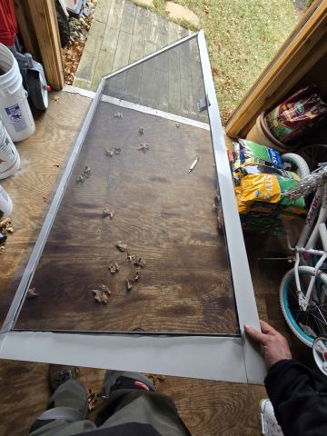 Screen Repair