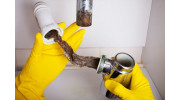 Drain Cleaning