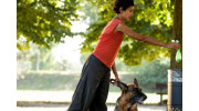 Pet Waste Management