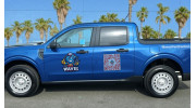 Commercial Pest Control