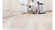 Mold Removal