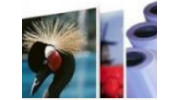 Mounting & Laminating Films