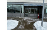 De-Icing and Salting
