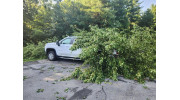 Storm Debris Cleanup