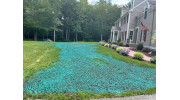 Hydroseeding