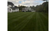 Lawn Fertilization