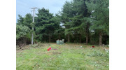 Brush Clearing