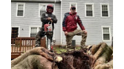 Stump Grinding
