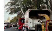 Tree Pruning